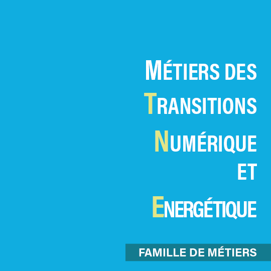 MNTE : Famille de Métiers du Numérique et de la Transition Energétique en seconde au lycée.